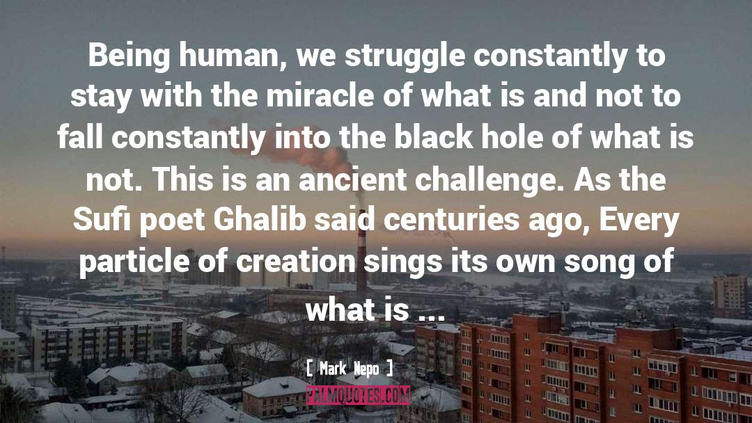 Ghazals Of Ghalib quotes by Mark Nepo