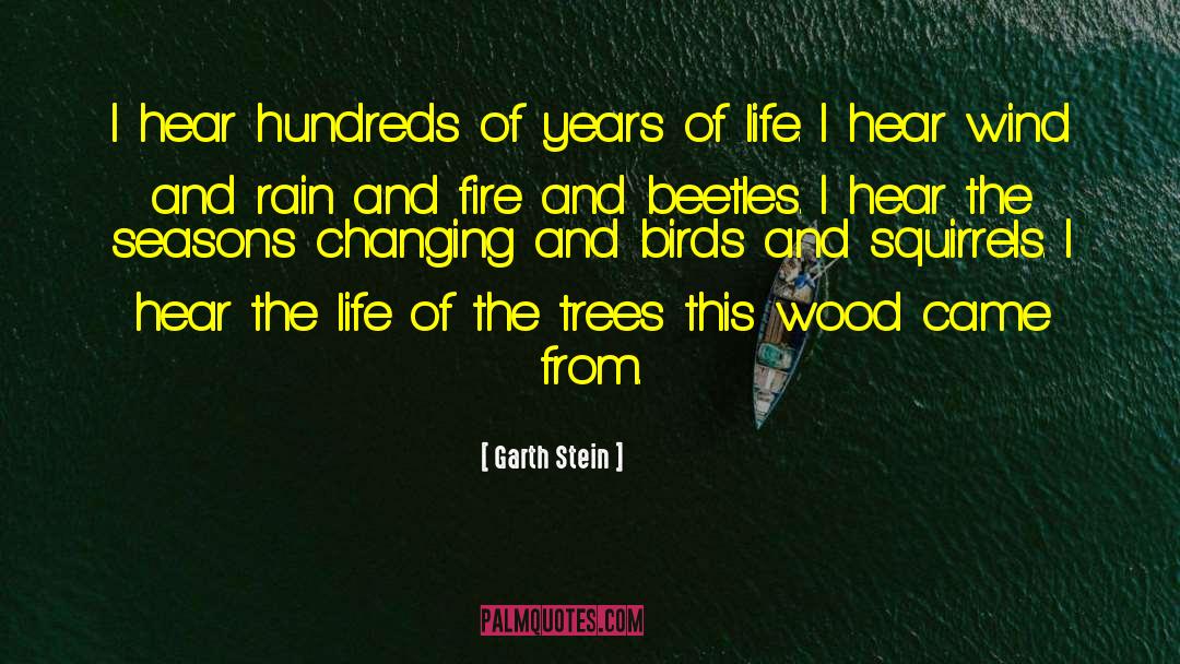 Ghost Bird quotes by Garth Stein