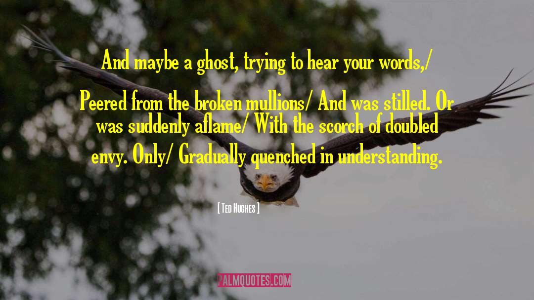 Ghost Boy quotes by Ted Hughes