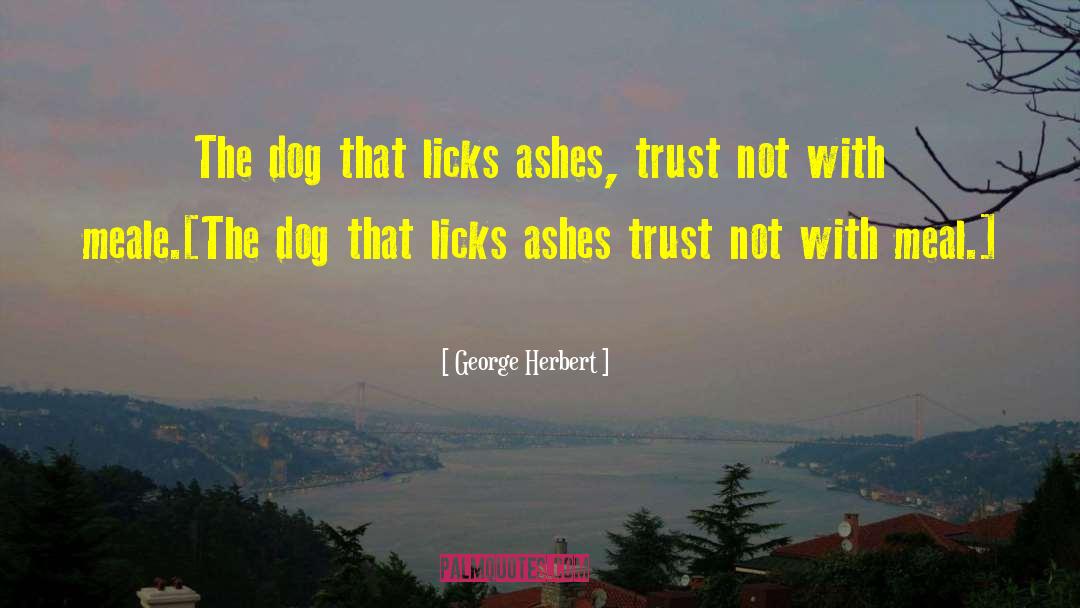 Ghost Dog quotes by George Herbert