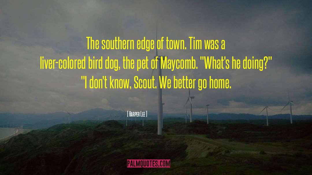 Ghost Dog quotes by Harper Lee