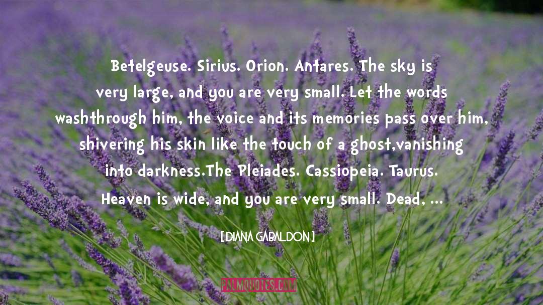 Ghost Ghost Subway quotes by Diana Gabaldon