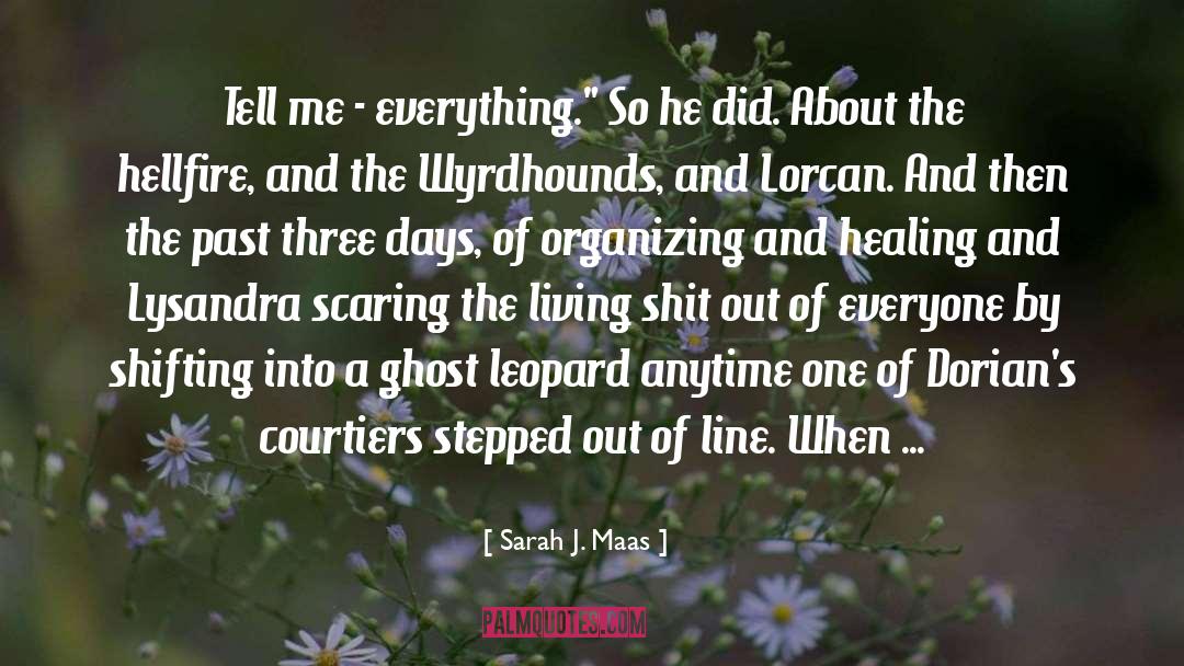 Ghost Leopard quotes by Sarah J. Maas