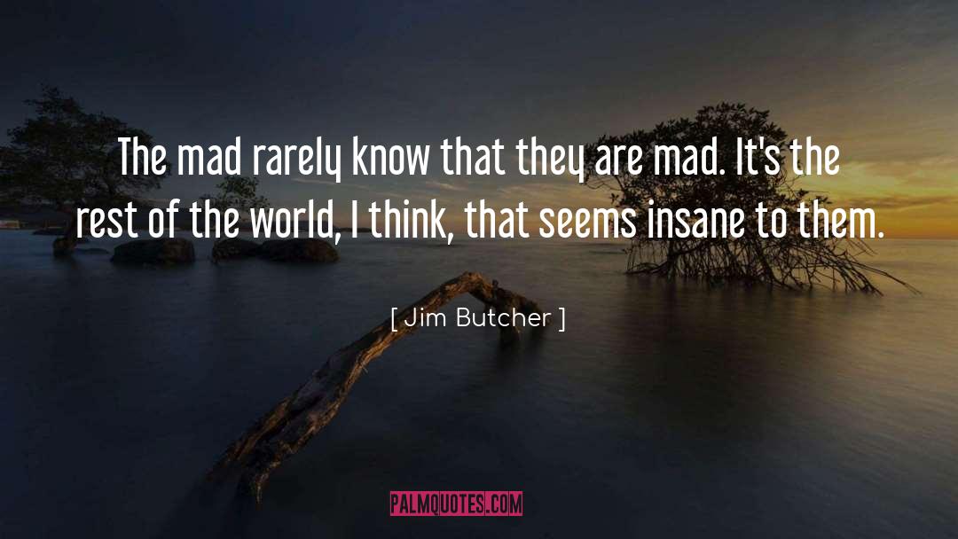 Ghost Story quotes by Jim Butcher