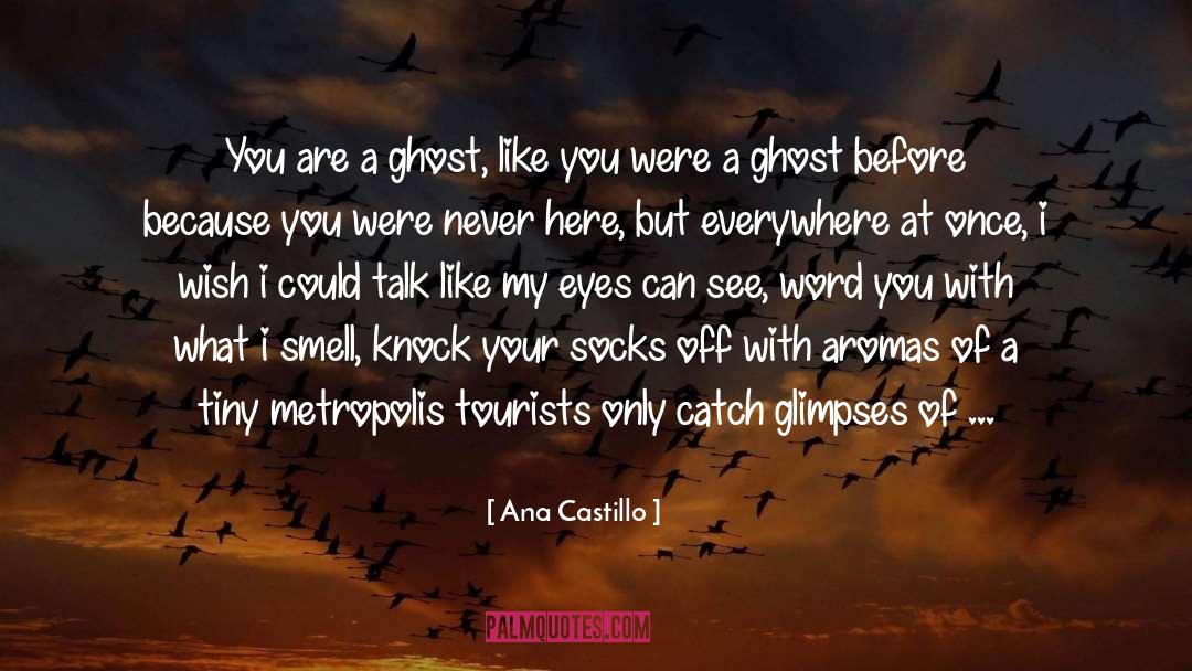 Ghost Talk quotes by Ana Castillo