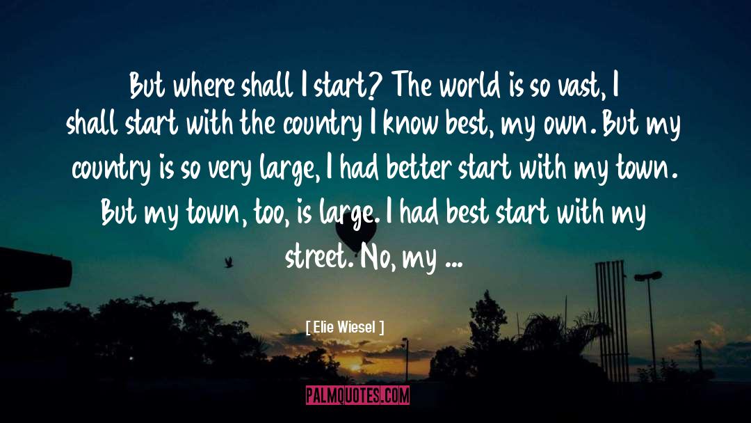 Ghost Town Best quotes by Elie Wiesel