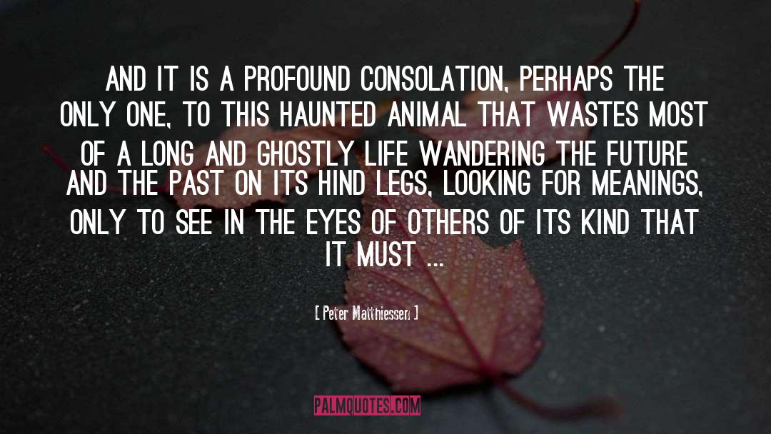 Ghostly quotes by Peter Matthiessen