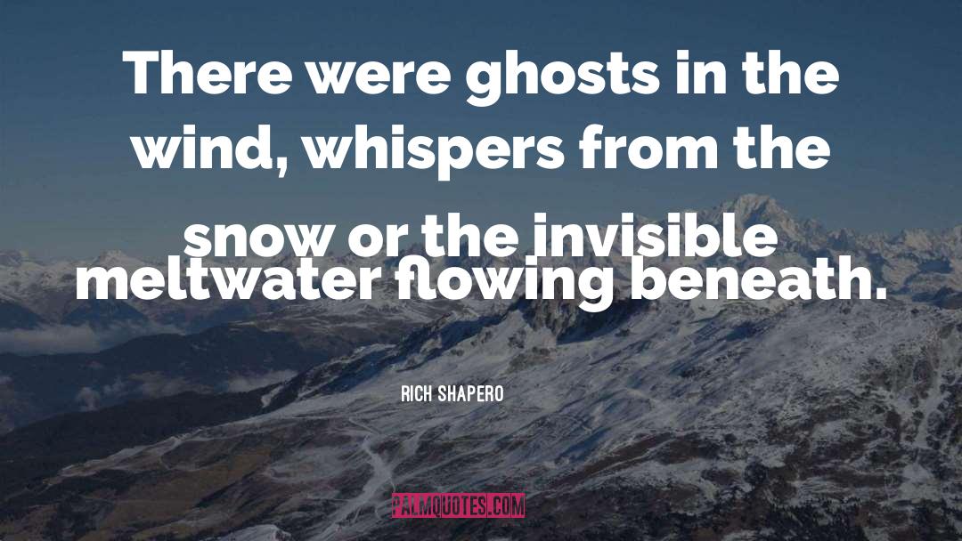 Ghosts Of The Past quotes by Rich Shapero