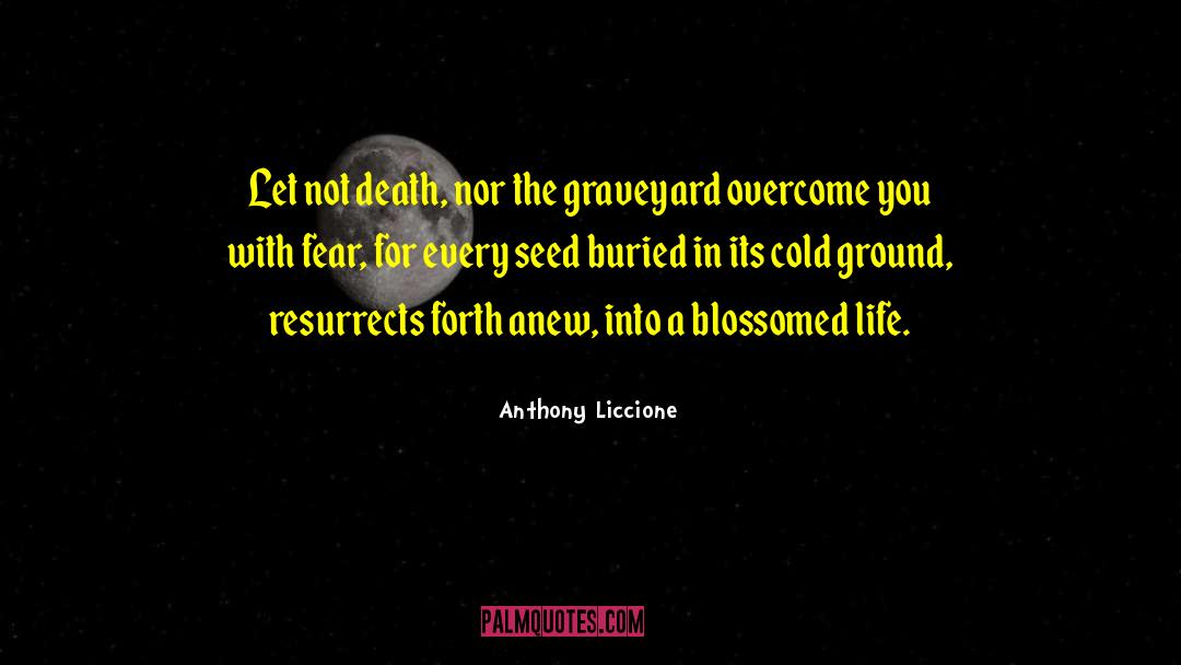 Ghulheim The Graveyard quotes by Anthony Liccione