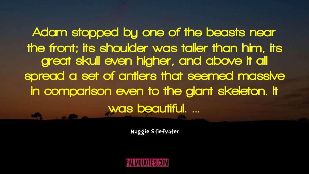 Giant Magic Statues quotes by Maggie Stiefvater