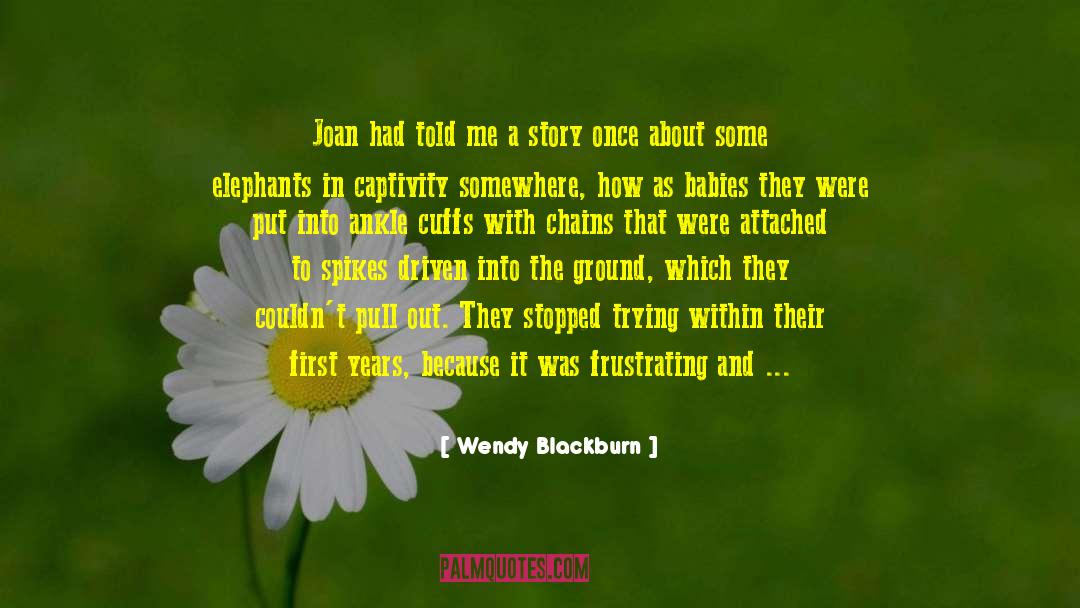 Giant Turtles quotes by Wendy Blackburn