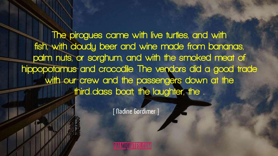 Giant Turtles quotes by Nadine Gordimer