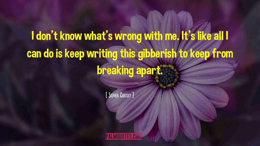 Gibberish quotes by Stephen Chbosky