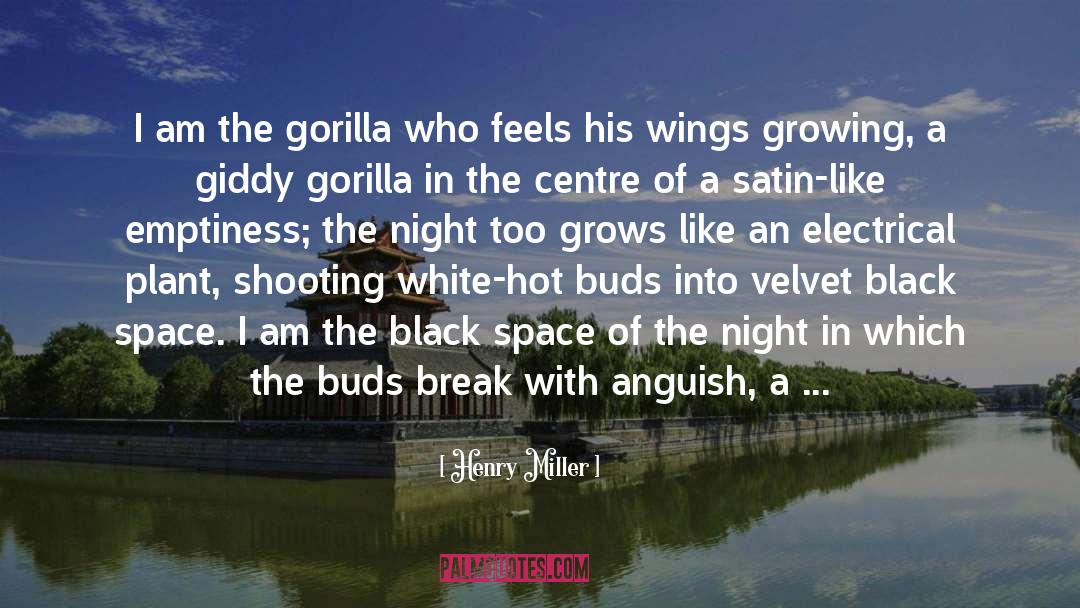 Giddy quotes by Henry Miller