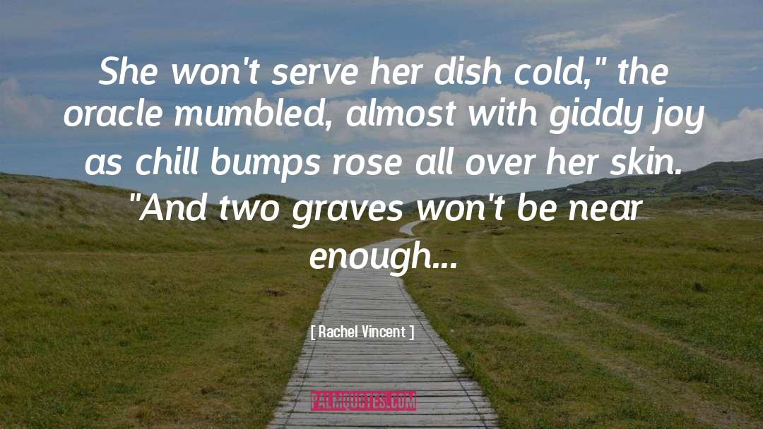 Giddy quotes by Rachel Vincent