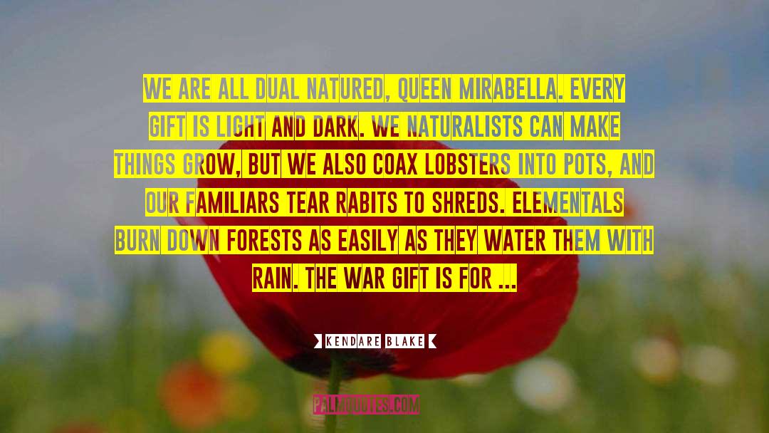 Gift Tag quotes by Kendare Blake