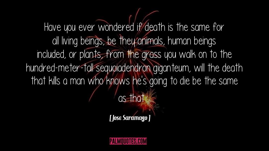 Giganteum Allium quotes by Jose Saramago