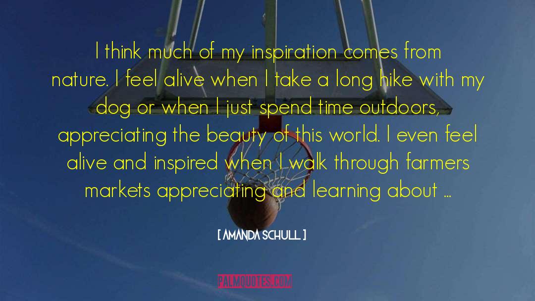 Gilded Beauty quotes by Amanda Schull