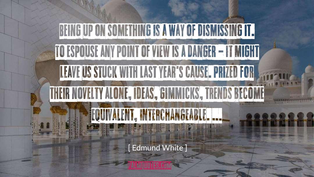 Gimmicks quotes by Edmund White