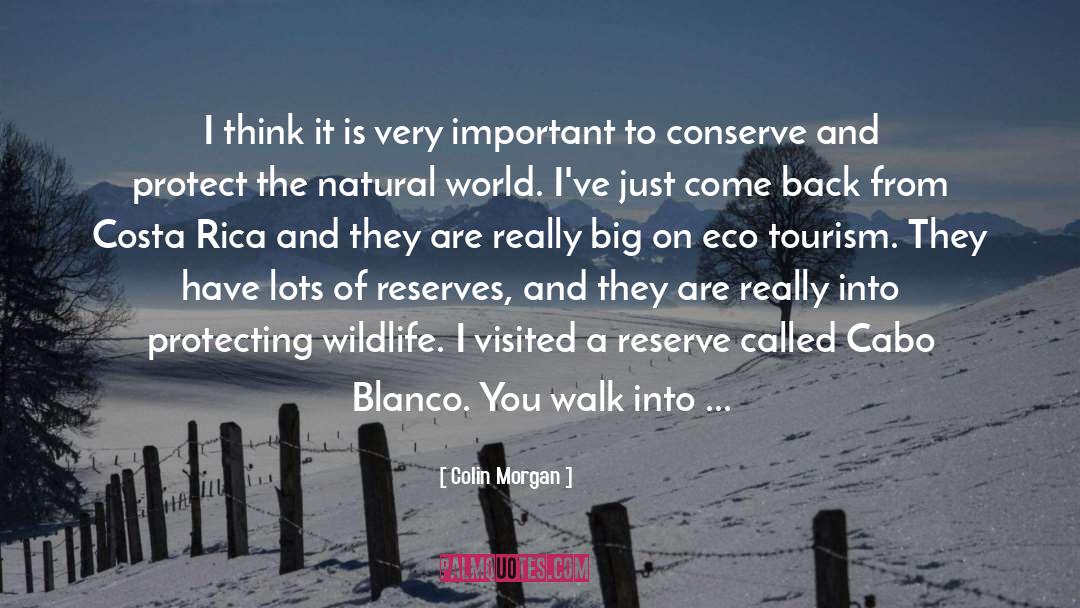 Gin Blanco quotes by Colin Morgan