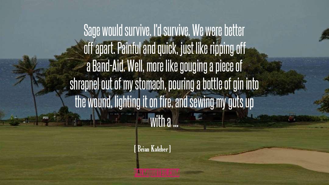 Gin quotes by Brian Katcher