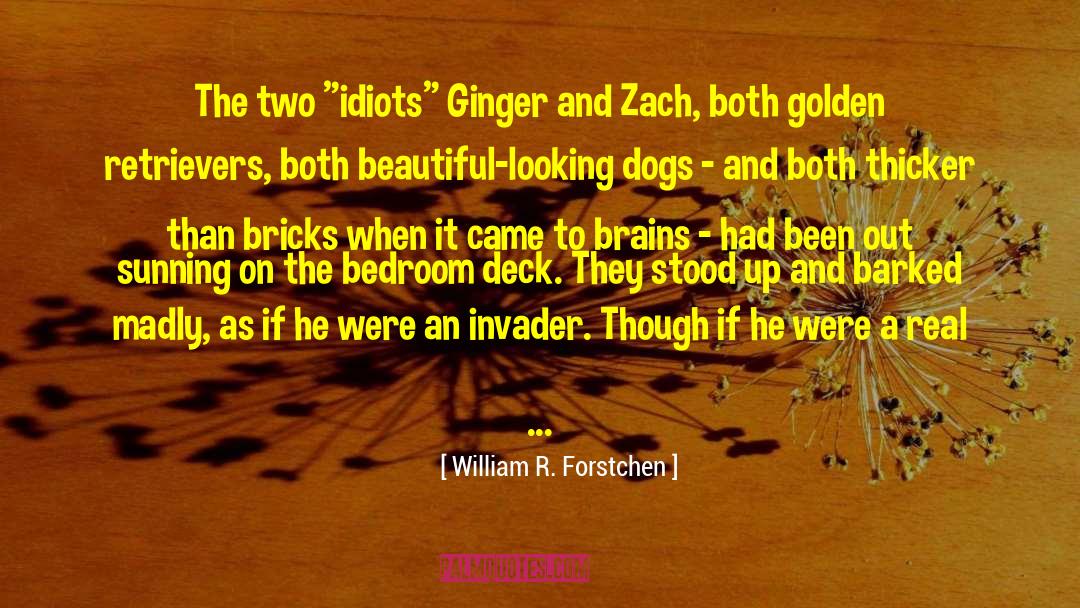 Ginger Kolbaba quotes by William R. Forstchen