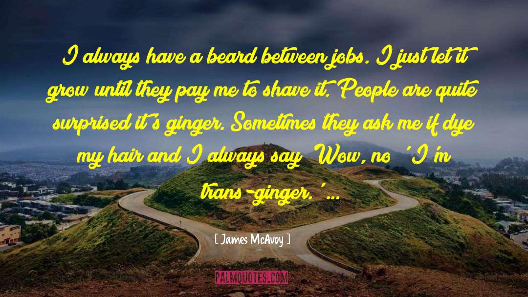 Ginger quotes by James McAvoy