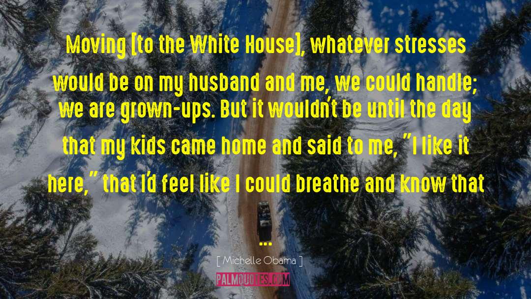 Gingerbread House quotes by Michelle Obama