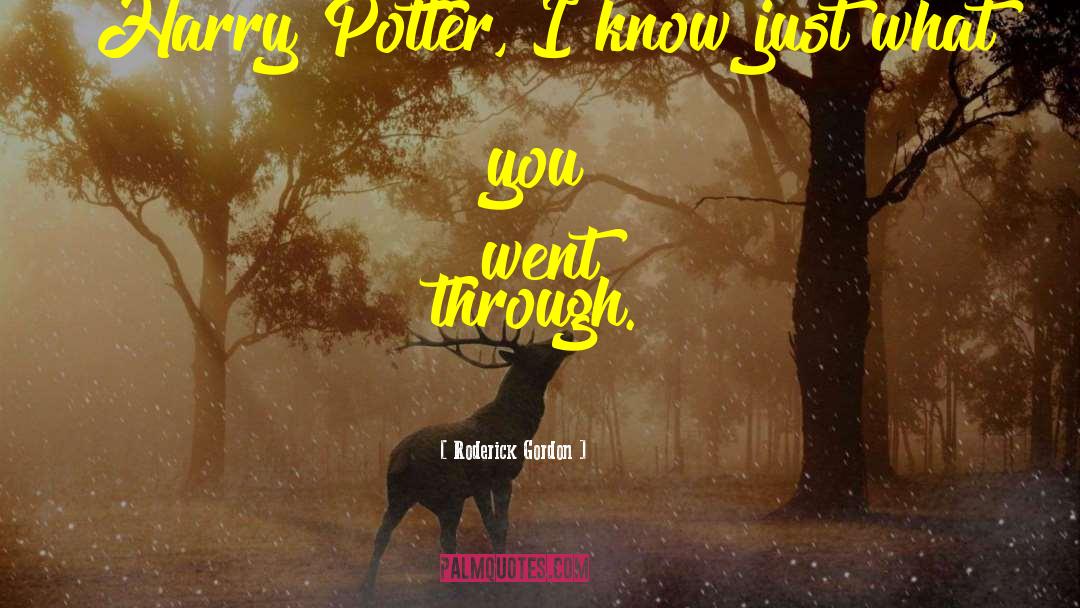 Ginny Potter quotes by Roderick Gordon