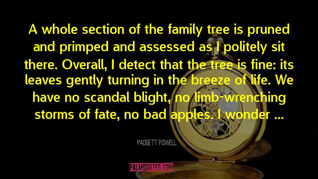 Giovino Family Tree quotes by Padgett Powell