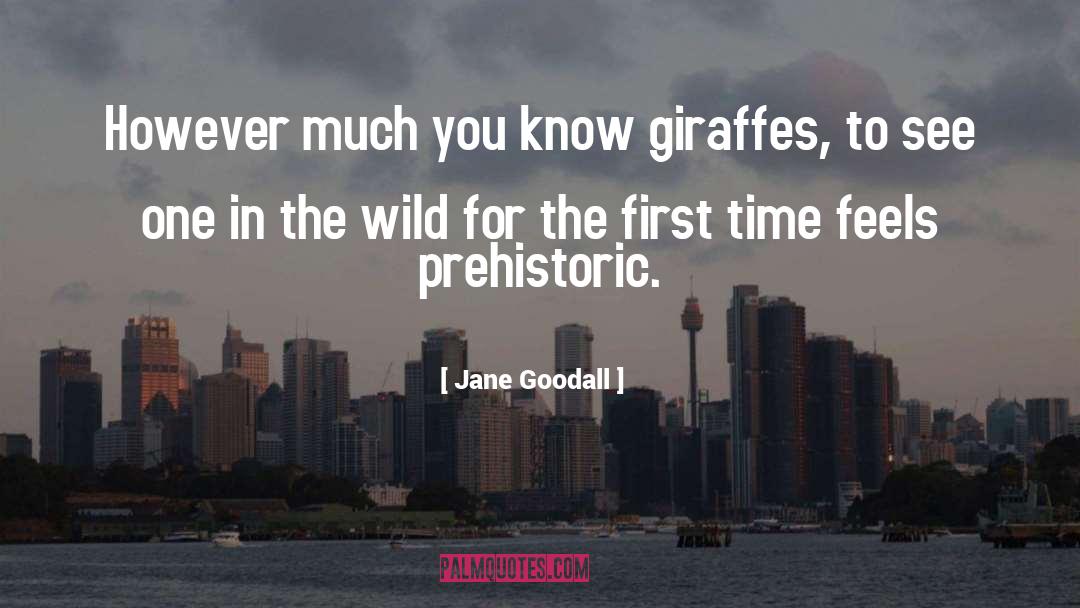 Giraffe quotes by Jane Goodall