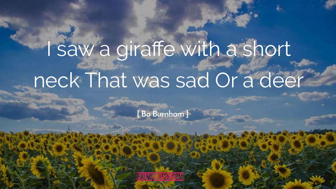 Giraffe quotes by Bo Burnham