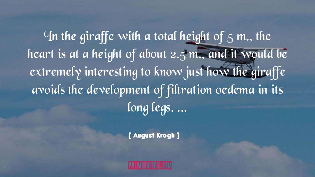 Giraffe quotes by August Krogh