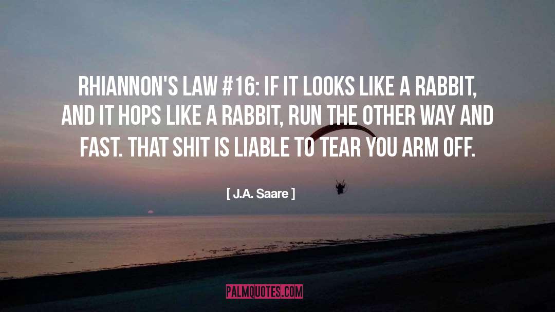 Girl Humor quotes by J.A. Saare