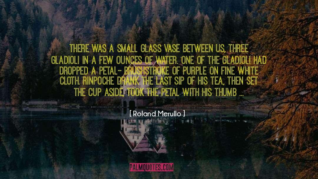 Girl In Water quotes by Roland Merullo