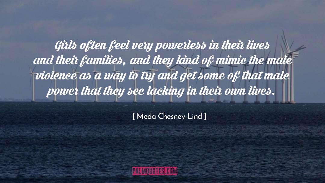 Girl Power Inspiration quotes by Meda Chesney-Lind