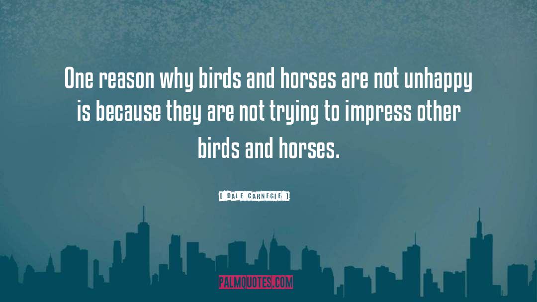 Girls And Horses quotes by Dale Carnegie
