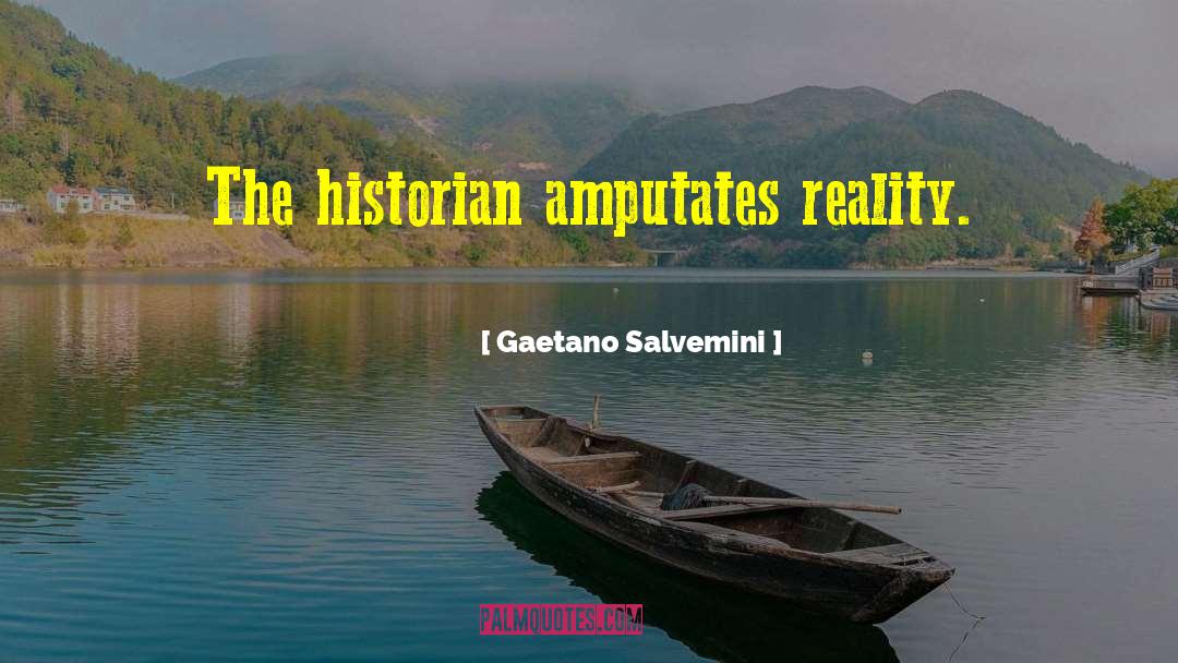 Gishwhes Historian quotes by Gaetano Salvemini