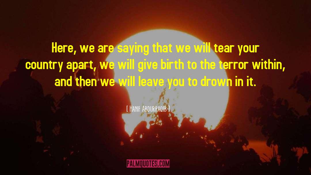Give Birth quotes by Hanif Abdurraqib