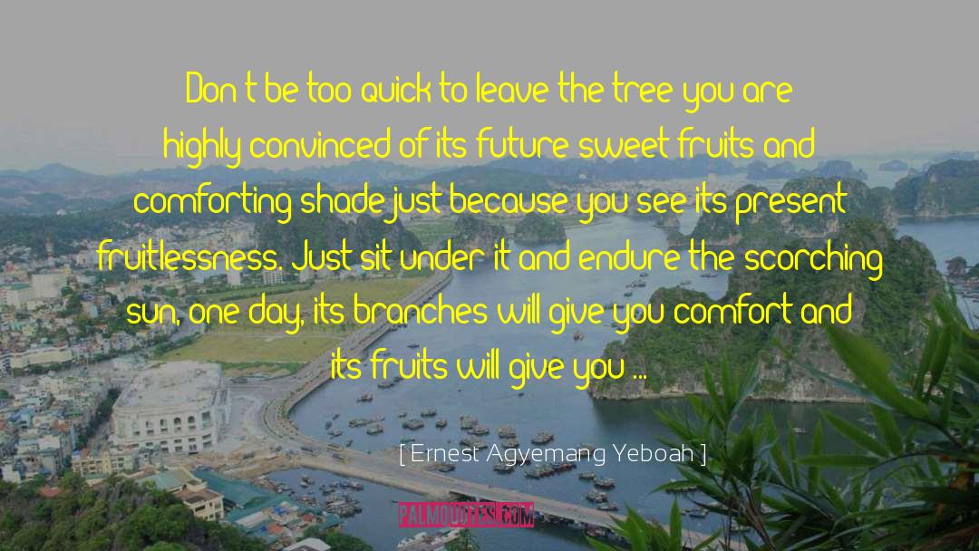 Give From Your Heart quotes by Ernest Agyemang Yeboah