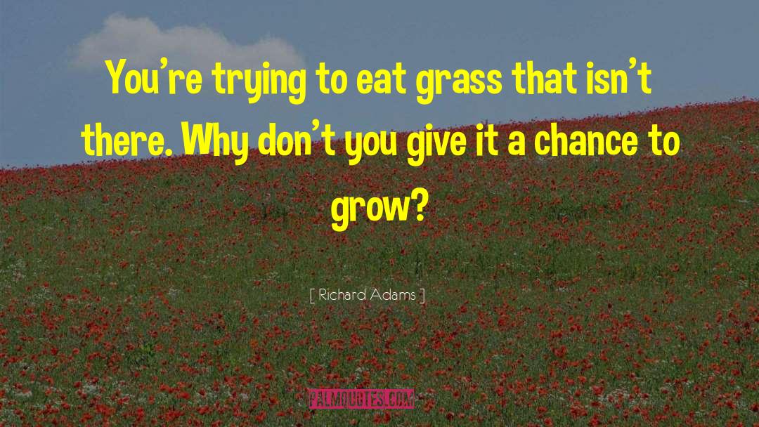 Give It A Chance quotes by Richard Adams