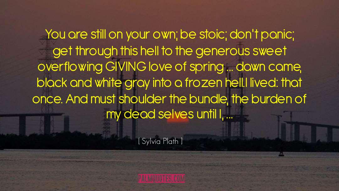 Giving Love quotes by Sylvia Plath