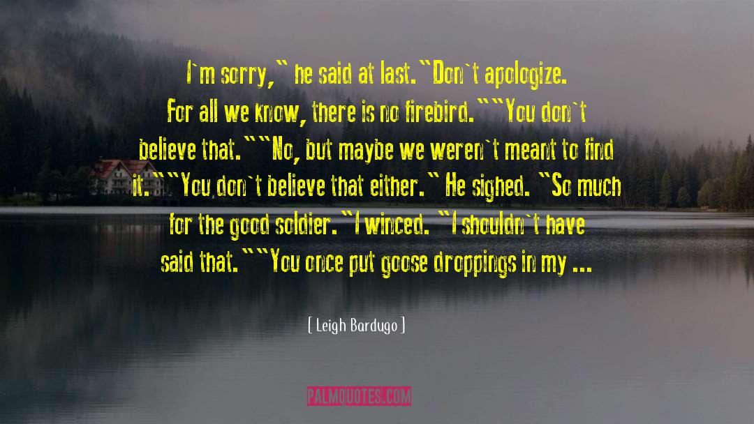 Giving Mood quotes by Leigh Bardugo