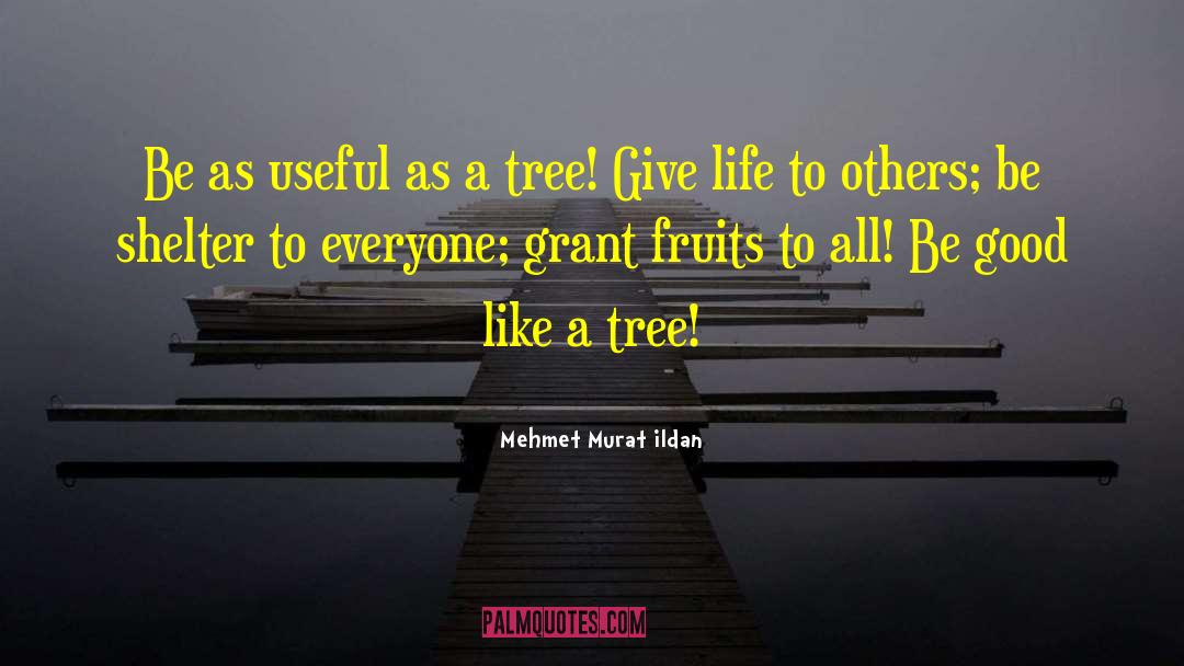 Giving Others Space quotes by Mehmet Murat Ildan