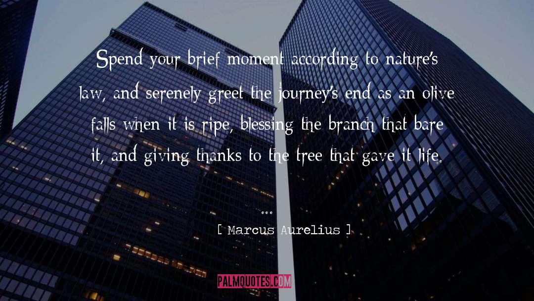 Giving Thanks quotes by Marcus Aurelius