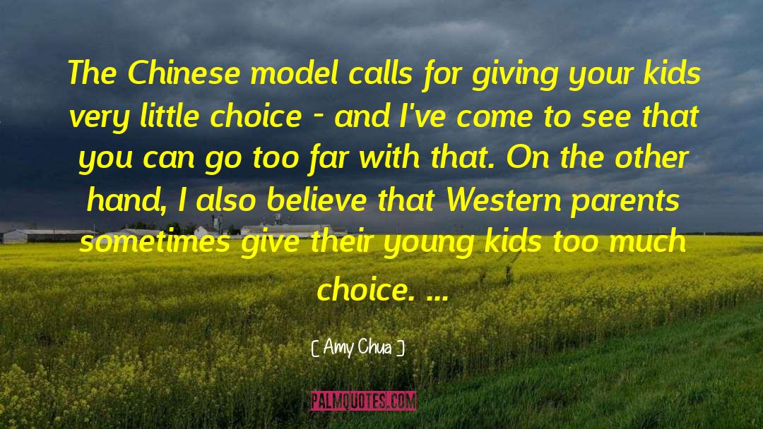 Giving To Others quotes by Amy Chua