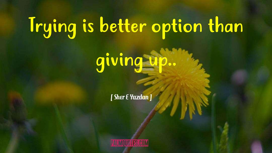 Giving Up Someone quotes by Sher E Yazdan