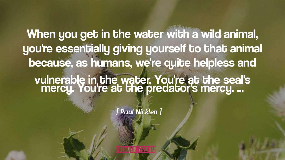 Giving Yourself quotes by Paul Nicklen