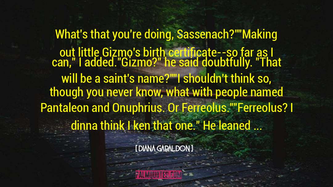 Gizmos quotes by Diana Gabaldon