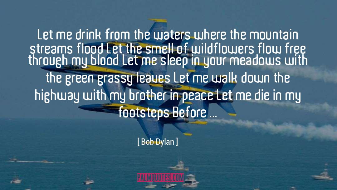 Glacier Meadows quotes by Bob Dylan